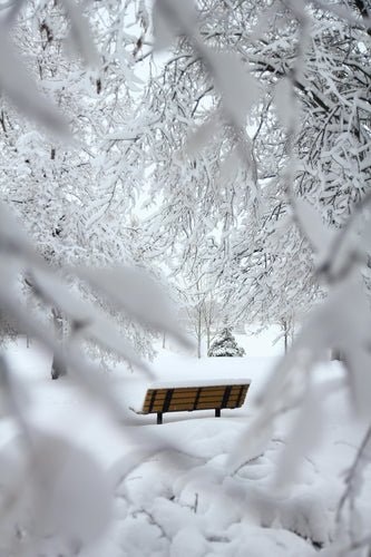 15 Winter Reflection Prompts to Inspire Personal Growth - With Love Archive